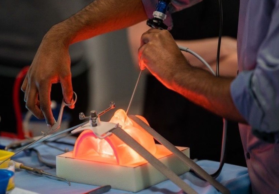 Adelaide University to develop multi-material 3D printed dental training models